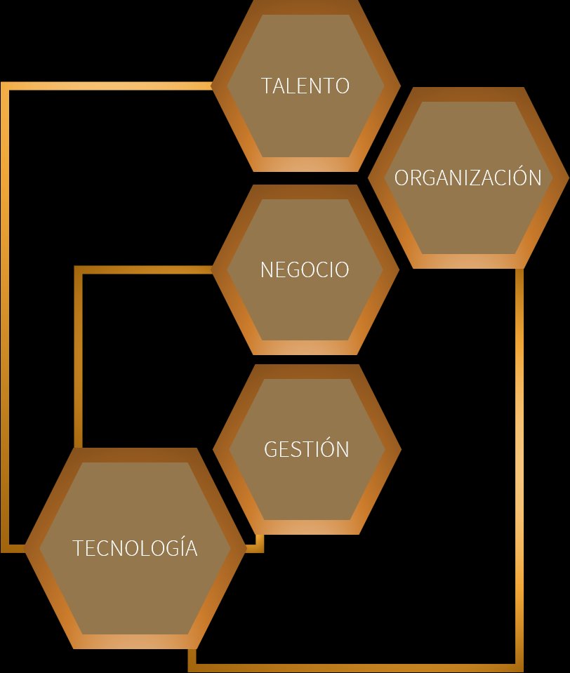 Modelo de intervención en cinco planos: Tecnología, Gestión, Negocio, Organización, Talento
